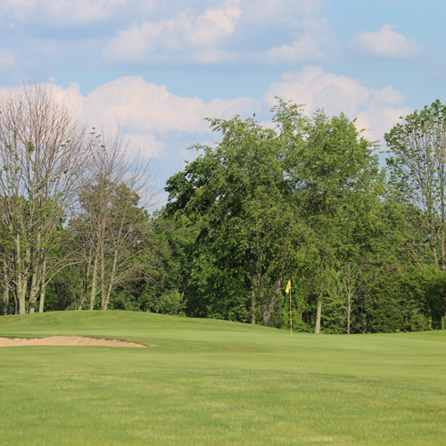 Course greens